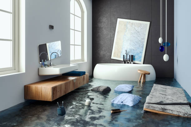 Best Professional water damage repair  in Okanogan, WA