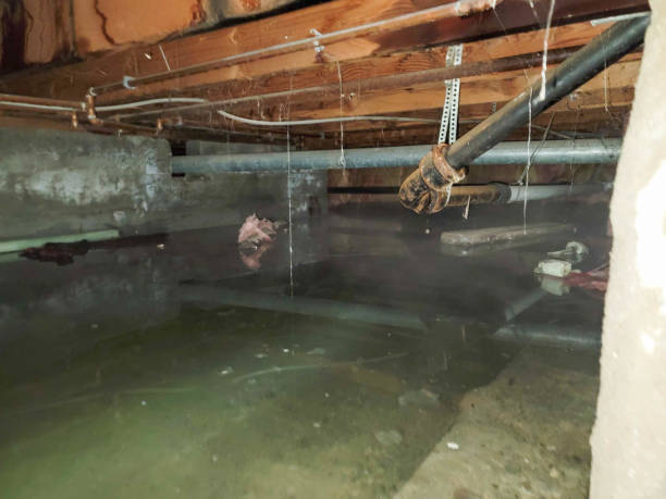 Best 24-hour water damage restoration  in Okanogan, WA