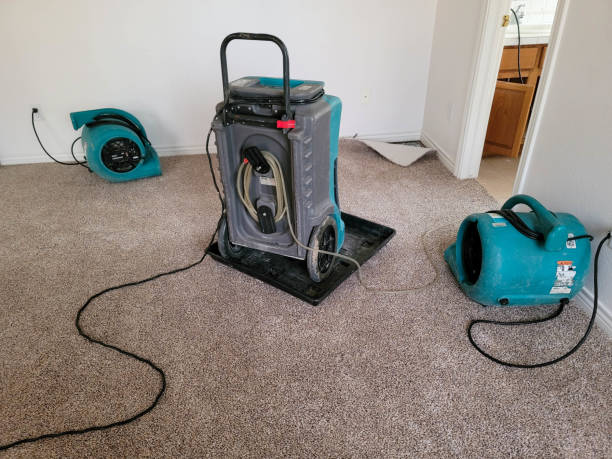  Okanogan, WA Water damage restoration Pros