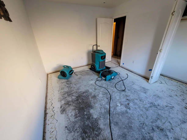 Best Flooded house restoration  in Okanogan, WA