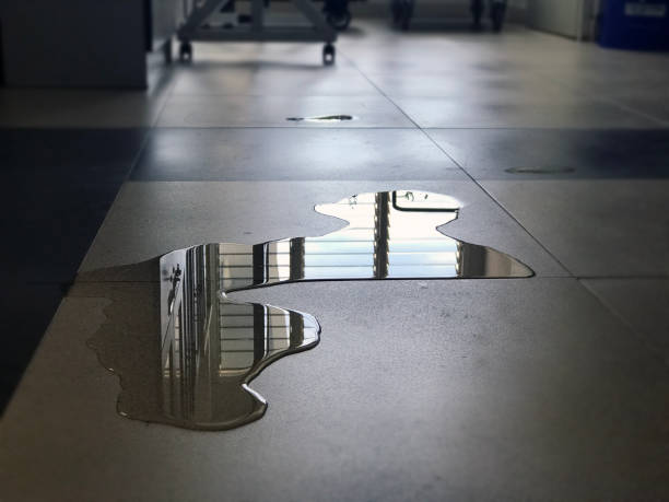 Best Local water damage restoration  in Okanogan, WA