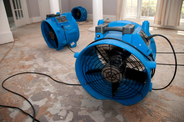  Okanogan, WA Water damage restoration Pros