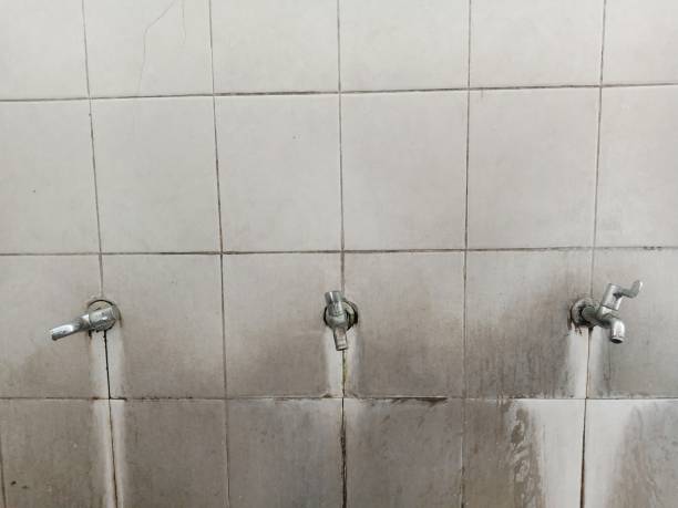 Best Emergency water damage restoration  in Okanogan, WA