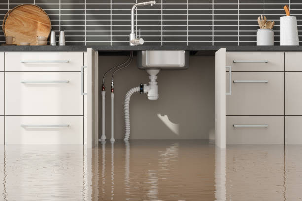 Best Flood restoration services  in Okanogan, WA